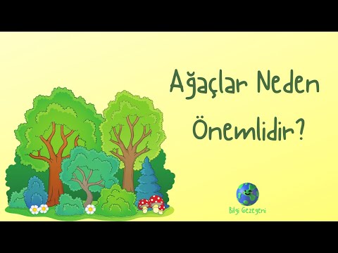 Ağaçların Faydaları Nelerdir? - Okul Öncesi ve İlköğretim Eğitici Çocuk Video