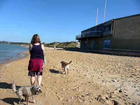 Alana and Darcy at the Beach - Parkdale Victoria T...