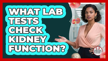What Lab Tests Check Kidney Function?
