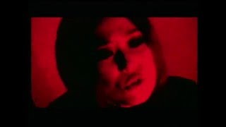 Video thumbnail of "EGO-WRAPPIN'『色彩のブルース』"