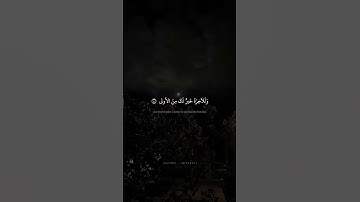 ما وَدَّعَكَ رَبُّكَ وَما قَلى محمد صديق المنشاوي سورة الضحى
