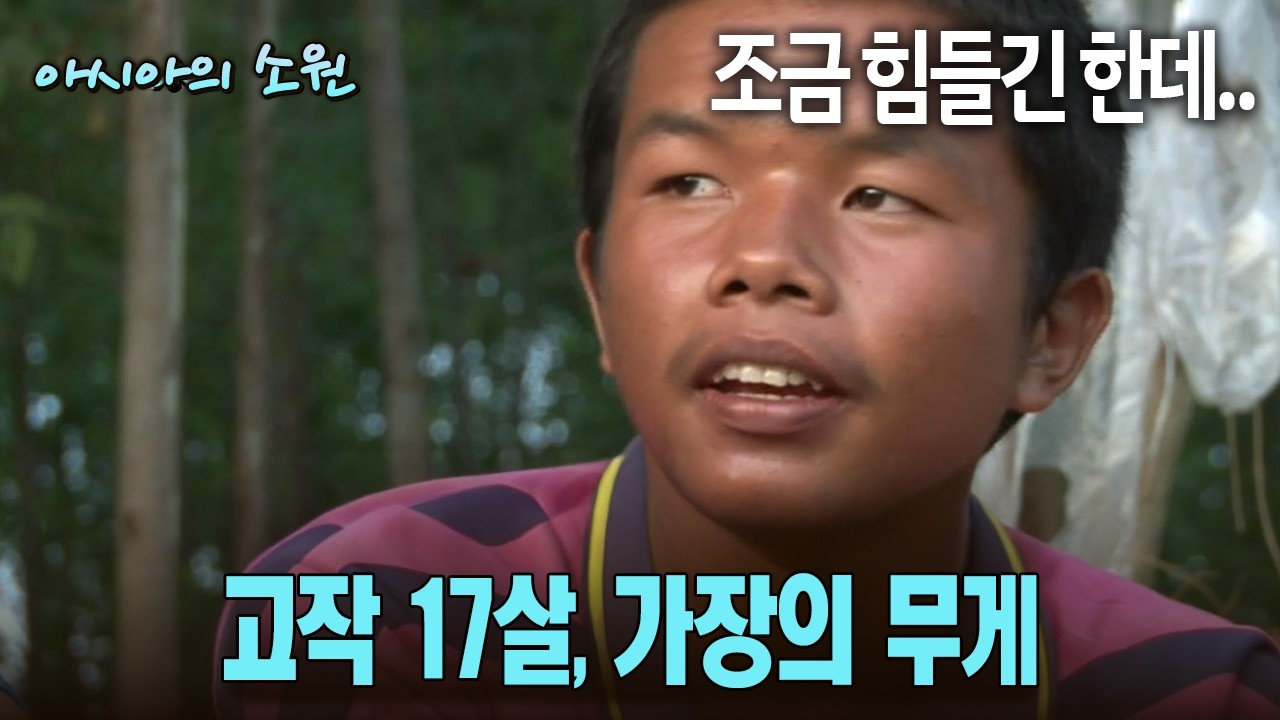 조금 힘들긴 한데.. 고작 17살, 가장의 무게 #사탕수수 #가장 [다시보는 아시아의 소원 8화-2]