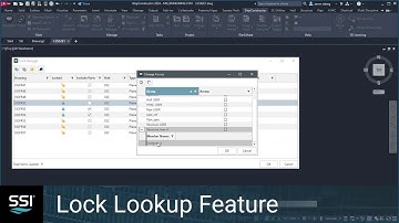 SSI 2024 R1.1 - Lock Lookup Feature in ShipConstructor
