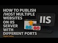 Host Multiple Websites in IIS Server 🌐 | Deploy ASP.NET Sites with Different Ports & Site Bindings