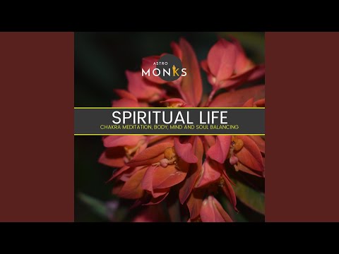 Смотреть «Days Passing» на YouTube