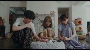 安達祐実×倉科カナ×渡邊圭祐、ネコ好きの男女3人の共同生活を描く、映画『三日月とネコ』予告編【2024年5月24日公開】