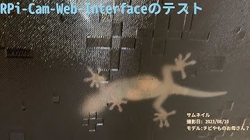 【For Work】 RPi-Cam-Web-Interfaceを使ったテスト（Timelapse）