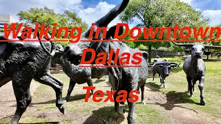 Sunny Stroll in Dallas Downtown: From Iconic Bronze Bulls to Skyscraper Streets