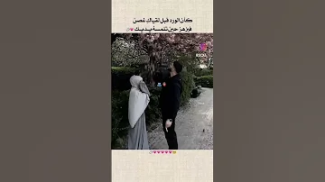 شغلتني كلمات ببالي اناشيد اسلاميه 