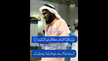 سورة القارعة || القاري امير حمزه || صلاة التراويح