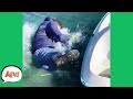 Gone OVERBOARD With the FAIL! 🤣 | Funny Fails | AFV 2021