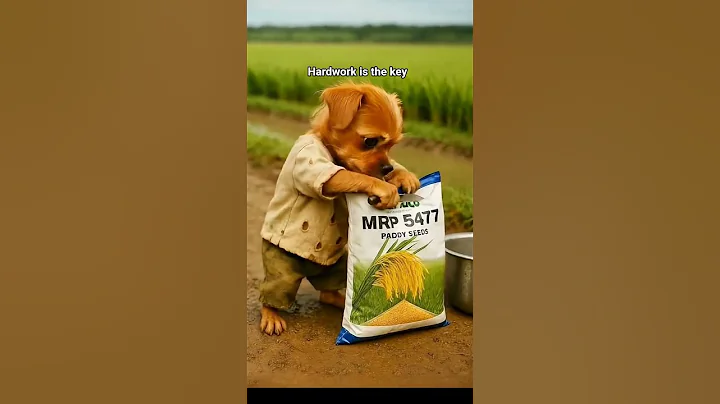 wait for end🤣#shorts #youtubeshorts #shortsfeed