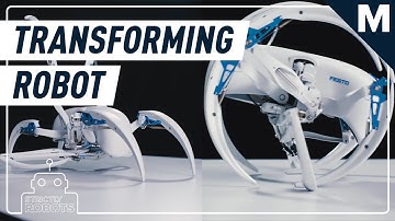 A Somersaulting Spider-Robot Can Help Your Arachnophobia | Strictly Robots