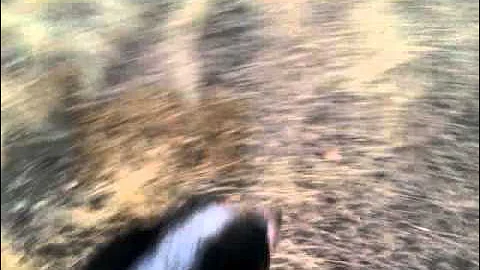 November 15, 2011 4:41 PM