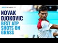 Novak Djokovic: Best-Ever ATP Shots On Grass!