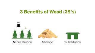 Why specify wood and the role of timber in climate change mitigation