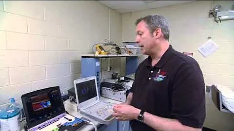 Interview With Steve Platts, Lead Scientist, Cardi...
