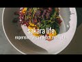 3 | $400 sakara life detox II review