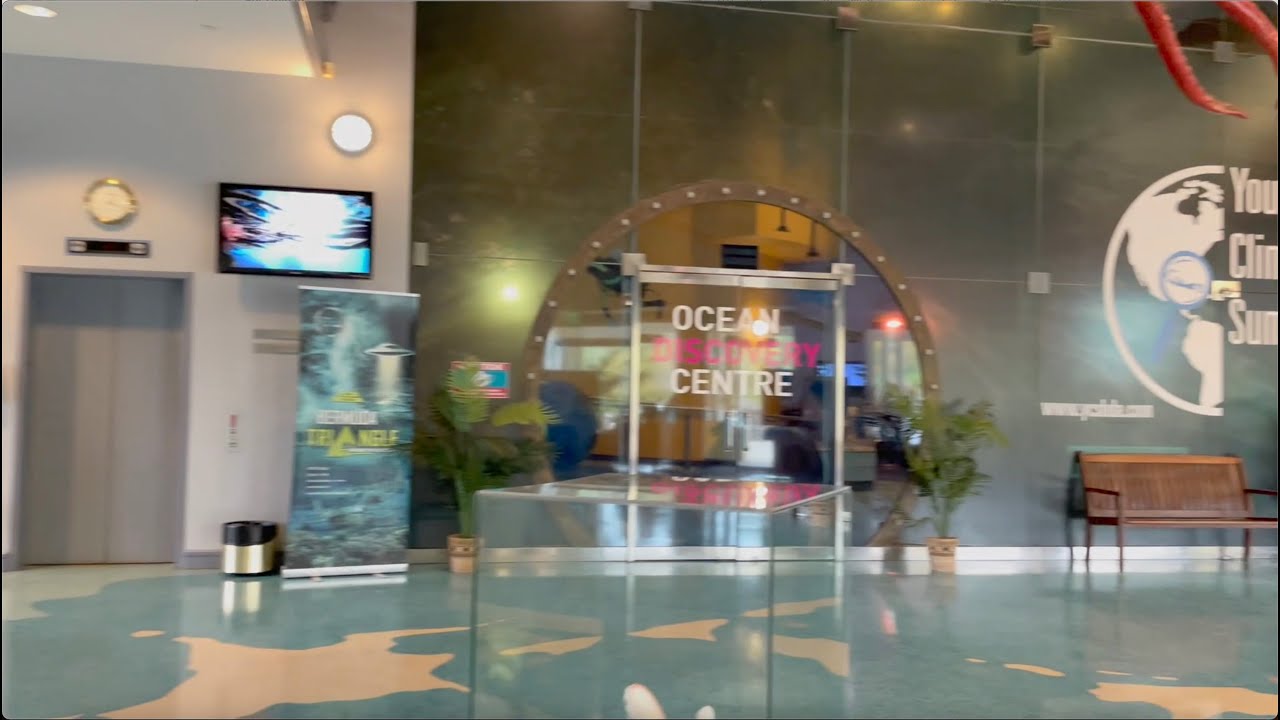 A Day At The Ocean Discovery Center - Bermuda 