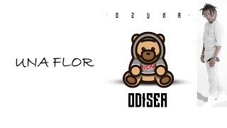 UNA FLOR OZUNA (LETRAS)