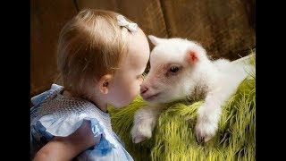 Cute baby animals Videos cute moment of the Babies and animals Compilation