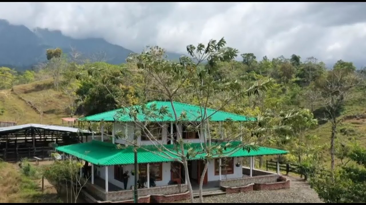 Clan del Golfo construyó excéntricas propiedades en las selvas del Urabá antioqueño