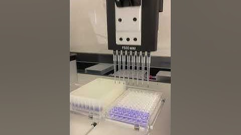 Filling 96-well plate with pipetting robot