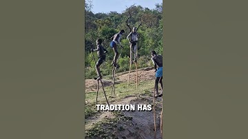 Members of Banna tribe walking on stilts! 😮  -  🎥 ViralHog