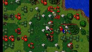 Tibia Dolera Kill AFK