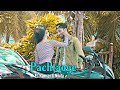 Arijit singh  pachtaoge  kamran ajay  nikita  sai creation