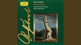 Schubert: Winterreise, D. 911: No. 12, Einsamkeit