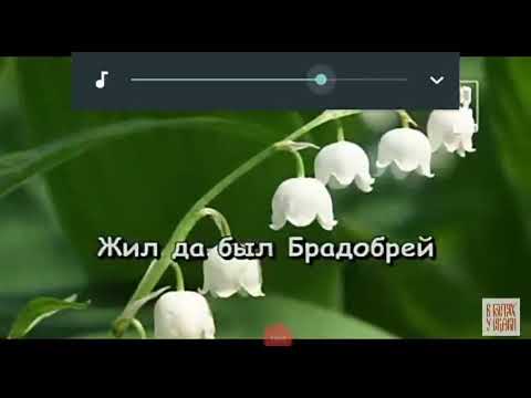 Лев и брадобрей текст. Жил да был брадобрей. Лев и брадобрей. Песня жил да был брадобрей. Слова песни Лев и брадобрей.