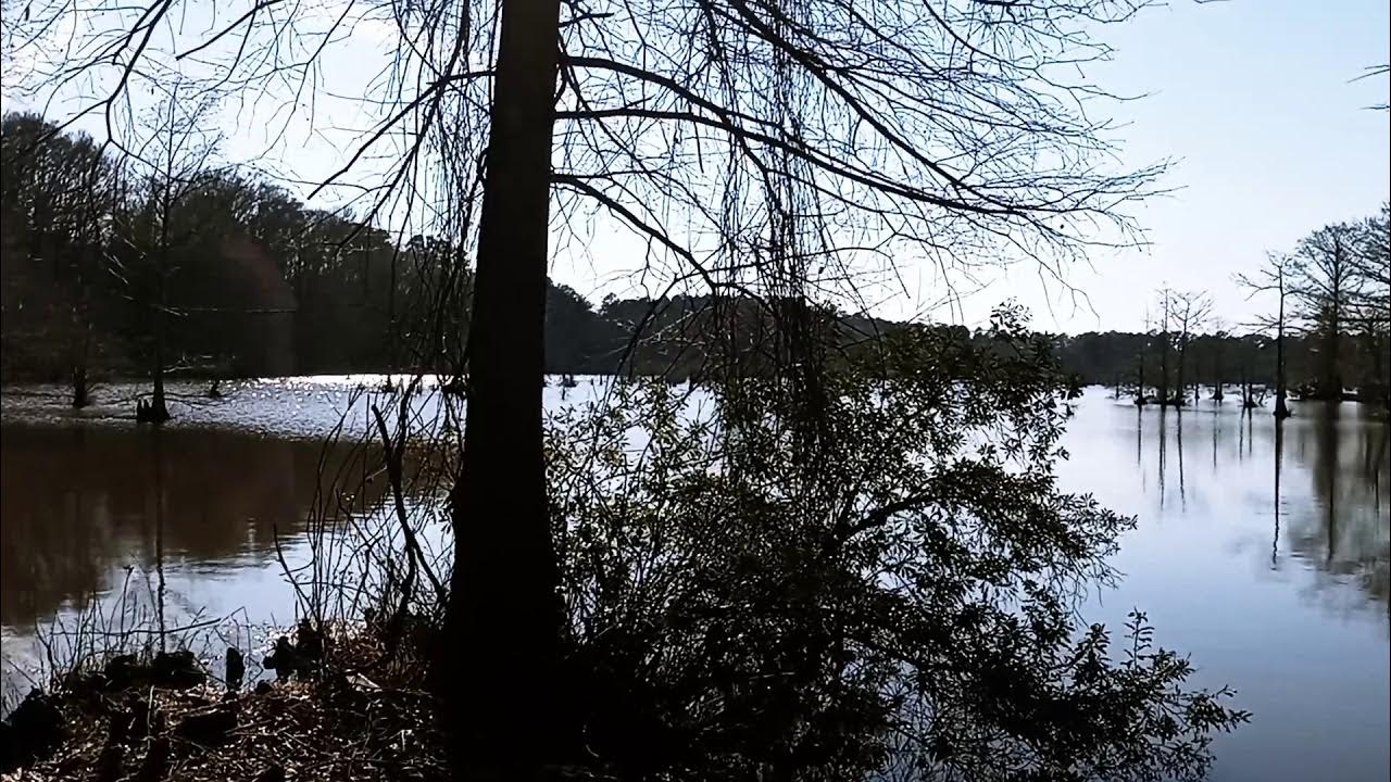 Calion Lake, Arkansas YouTube