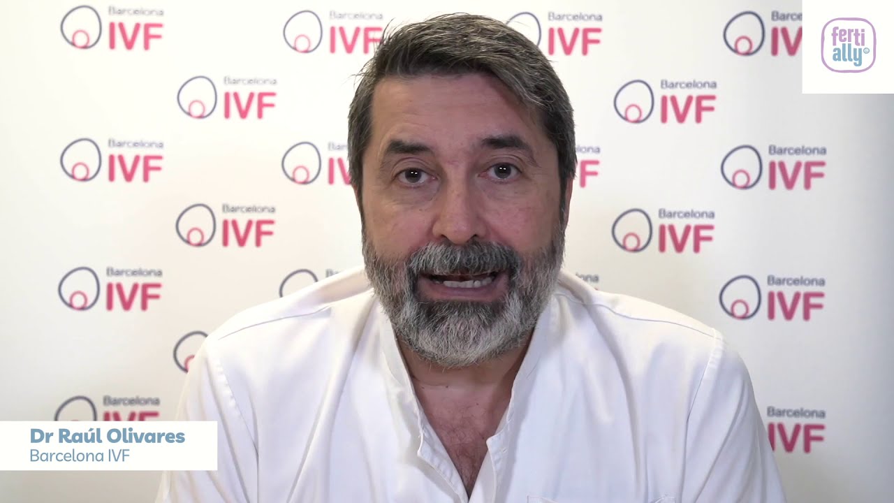 What percentage of fertilized eggs make it to day 5?