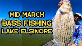 LAKE ELSINORE Mid March Bass Fishing Quick Sesh #fishing #bass #jangomike