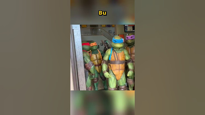 Courier Who Met Ninja Turtles Recorded That Moment! 🍕🥷