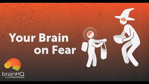 Your Brain on Fear