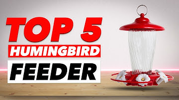 Top 5 Best Hummingbird Feeder In 2022