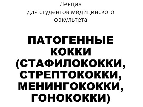 Видео: Какие кокки подвижны?