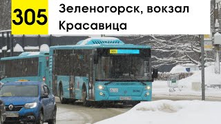 картинка: Автобус 305 