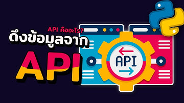 API คืออะไรกันนะ? - ดึงข้อมูลจาก API ด้วย Python | 2022