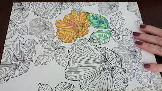 ASMR The Flowers & Nature Coloring Book 17