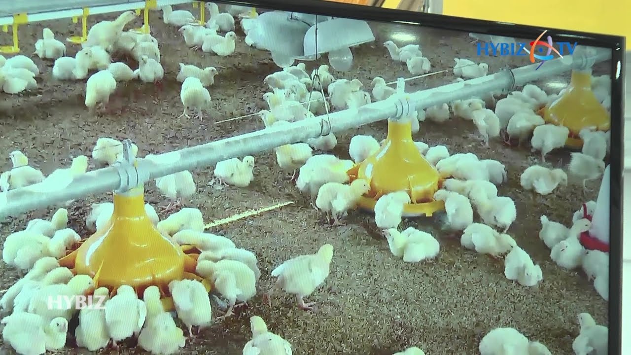 Gartech Engineering Poultry India 2018 YouTube