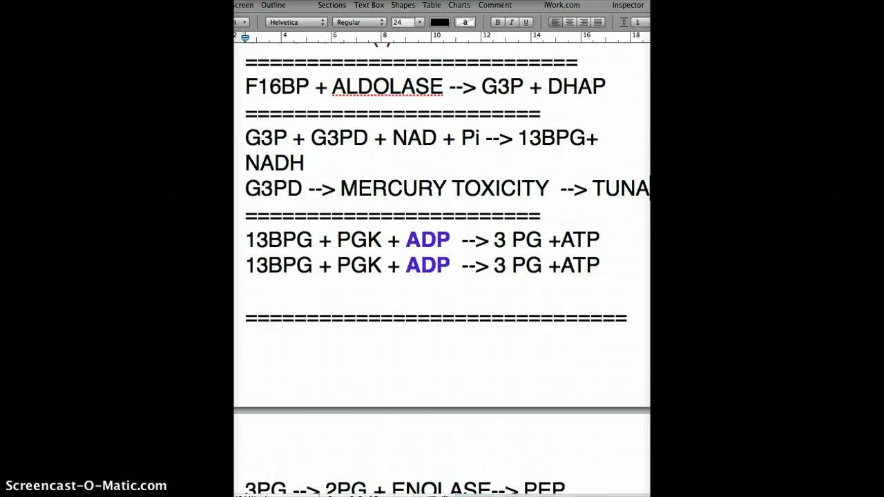 USMLE GLYCOLYSIS PART 2