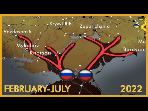 How Ukraine was able to survive