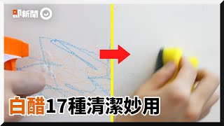 17個白醋清潔用途誘捕果蠅、疏通水槽超實用｜調味料｜妙招 ... 