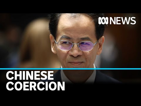 China ramps up campaign against international COVID-19 inquiry | ABC News