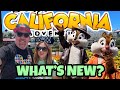 WHATS NEW & WHATS GOING ON AT DCA! Magic Key Terrace, New Foods, + Radiator Springs Racers Incident?