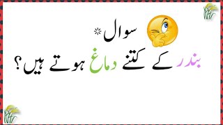 How many brains does a monkey have? Urdu amazing paheliyan screenshot 4