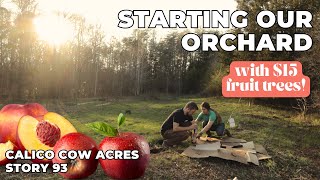 Planting Our FIRST Fruit Trees | Starting a Food Forest | Homestead Life